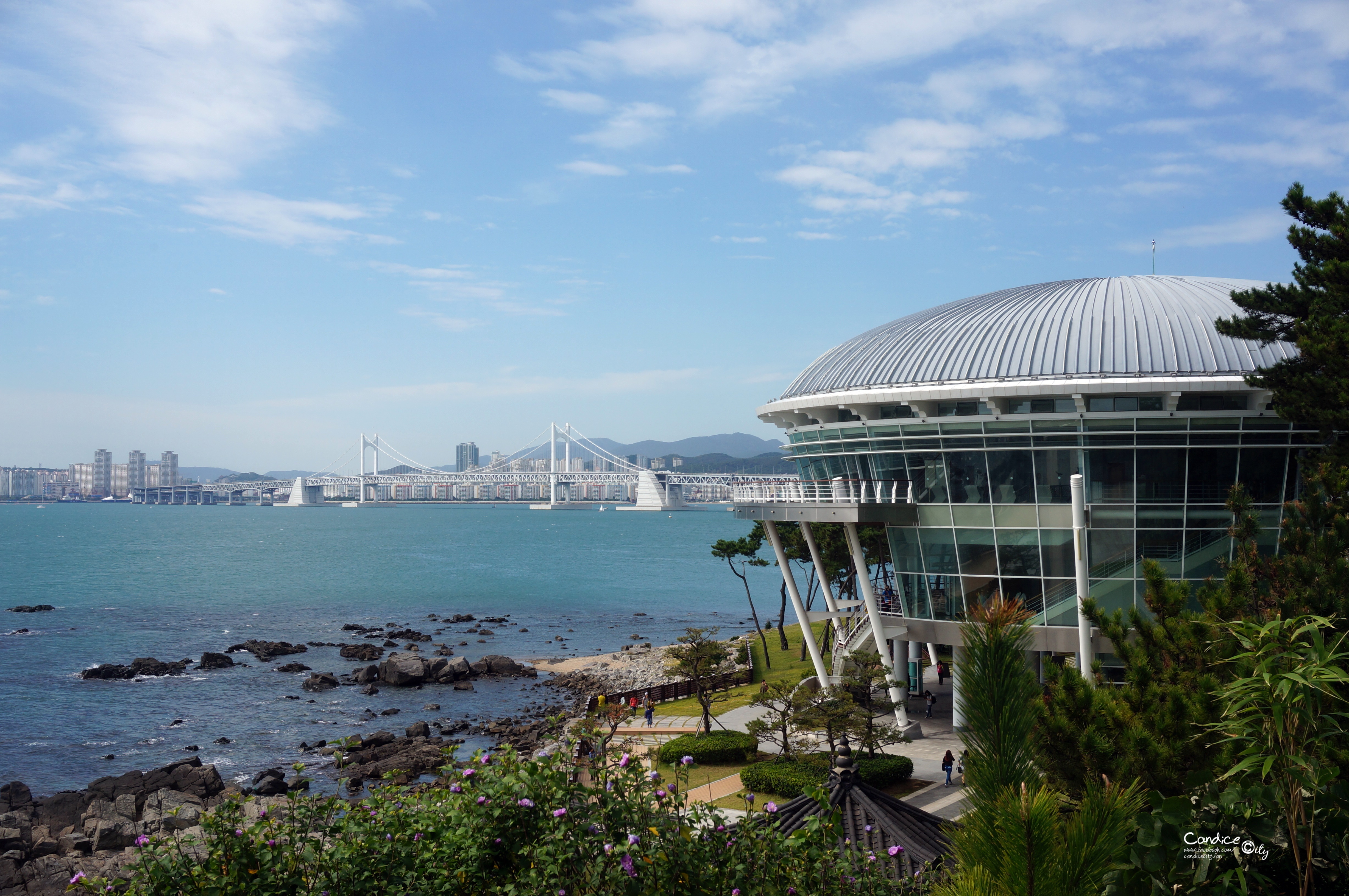 釜山景點&hearts;走路逛海雲台海水浴場 冬柏島 APEC會議世峰樓 @陳小沁の吃喝玩樂