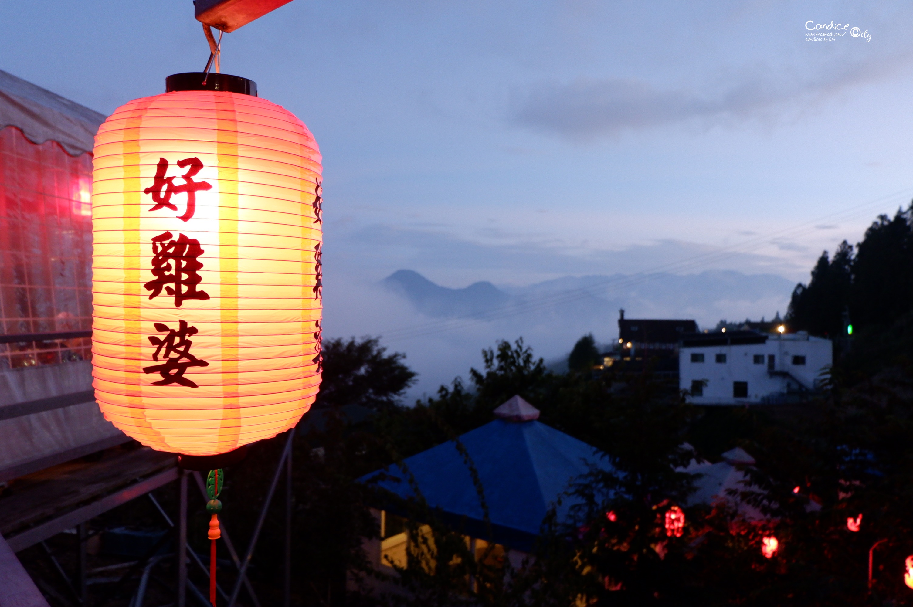 好雞婆土雞城｜清境美食推薦!吃錦灑,擺夷料理第一選擇! @陳小沁の吃喝玩樂