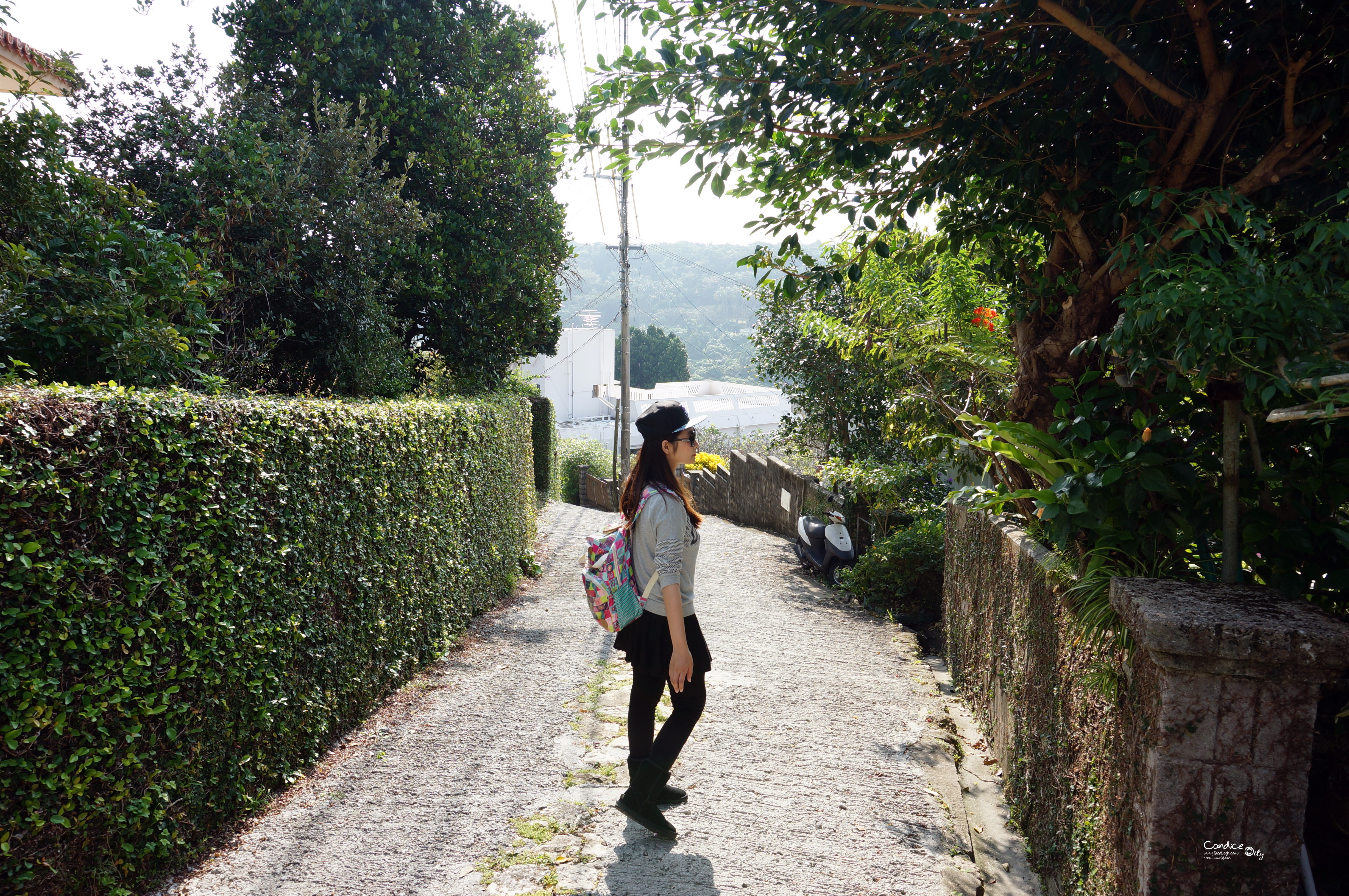 沖繩景點■必去超美500年石頭古道 首里金城町石畳道 金城村屋 石畳茶屋真珠 @陳小沁の吃喝玩樂