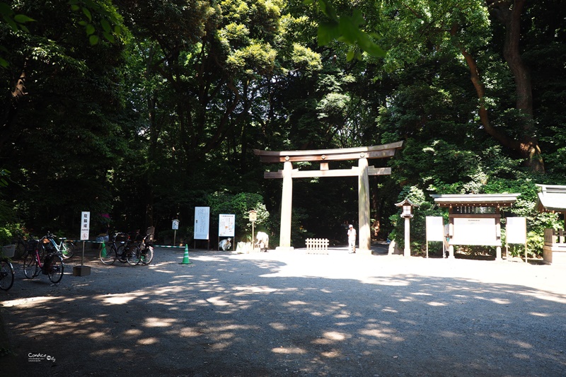 【東京景點】明治神宮,6月必訪明治神宮御苑,花菖蒲正開超美!