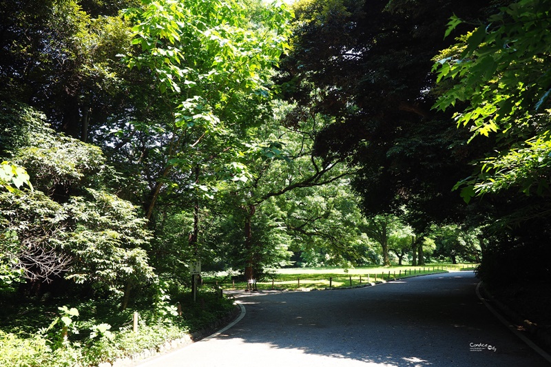 【東京景點】明治神宮,6月必訪明治神宮御苑,花菖蒲正開超美!