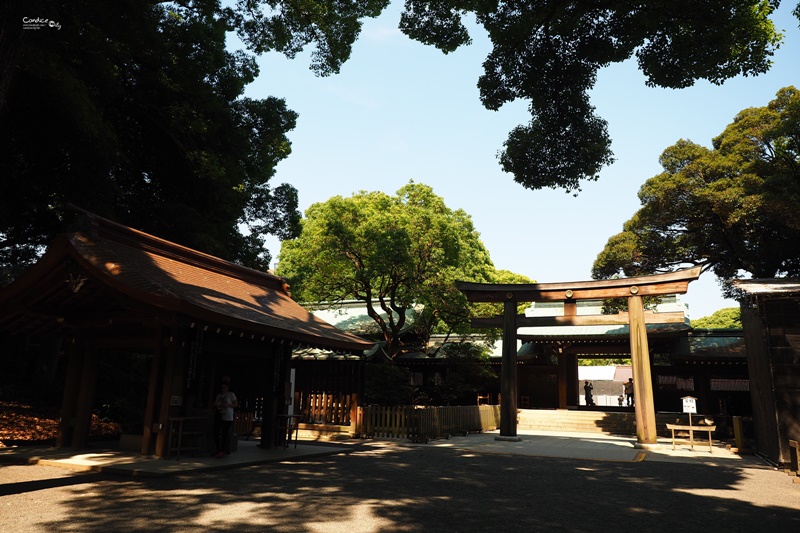 【東京景點】明治神宮,6月必訪明治神宮御苑,花菖蒲正開超美!