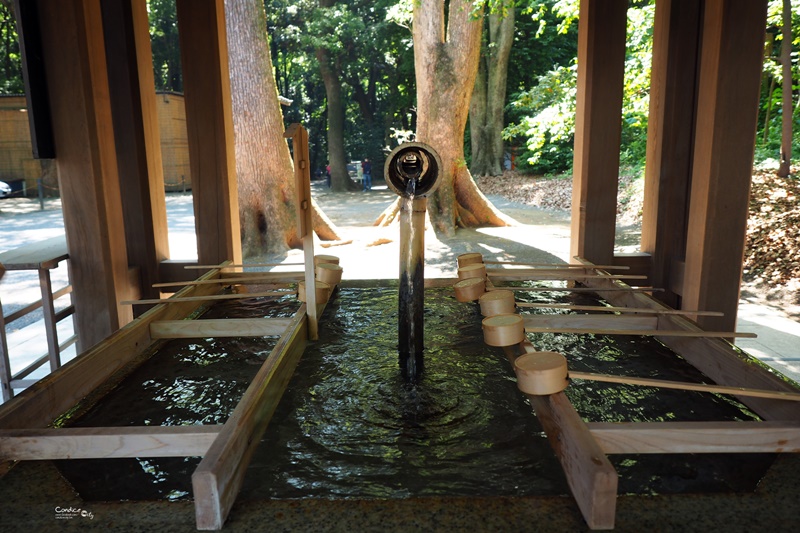 【東京景點】明治神宮,6月必訪明治神宮御苑,花菖蒲正開超美!