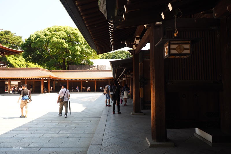 【東京景點】明治神宮,6月必訪明治神宮御苑,花菖蒲正開超美!