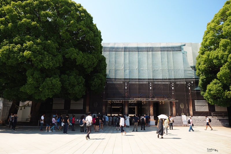 【東京景點】明治神宮,6月必訪明治神宮御苑,花菖蒲正開超美!