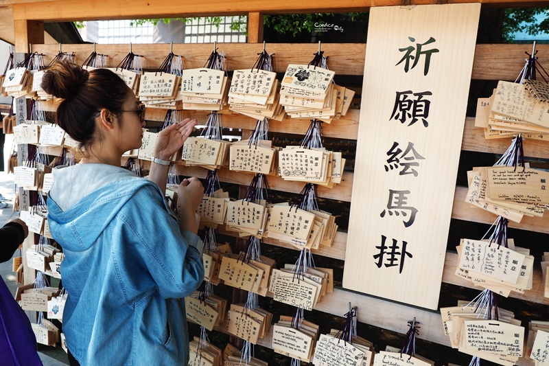 【東京景點】明治神宮,6月必訪明治神宮御苑,花菖蒲正開超美!