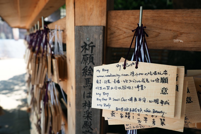 【東京景點】明治神宮,6月必訪明治神宮御苑,花菖蒲正開超美!