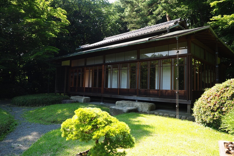 【東京景點】明治神宮,6月必訪明治神宮御苑,花菖蒲正開超美!