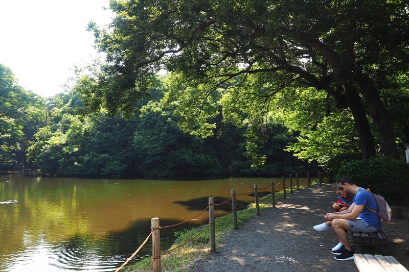 【東京景點】明治神宮,6月必訪明治神宮御苑,花菖蒲正開超美!