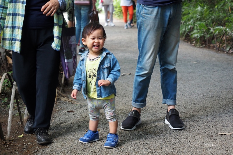 【東京景點】明治神宮,6月必訪明治神宮御苑,花菖蒲正開超美!