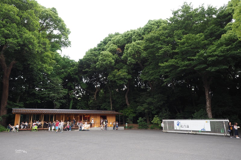 【東京景點】明治神宮,6月必訪明治神宮御苑,花菖蒲正開超美!