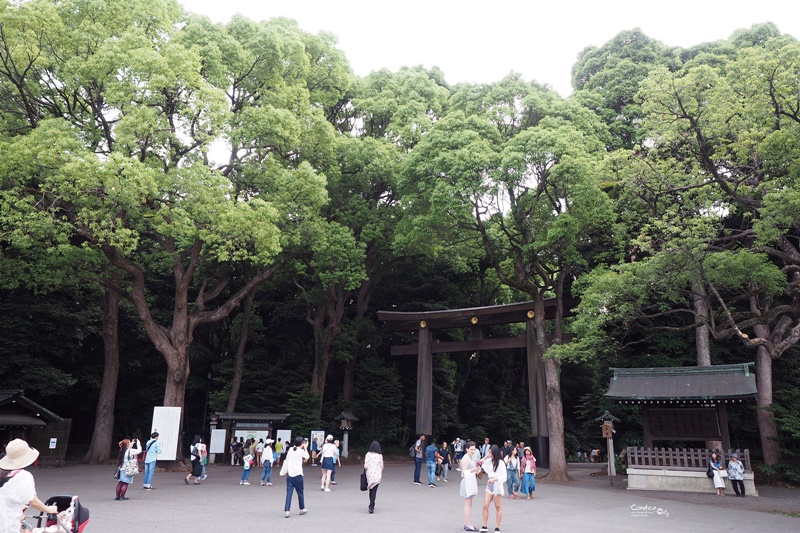 【東京景點】明治神宮,6月必訪明治神宮御苑,花菖蒲正開超美!