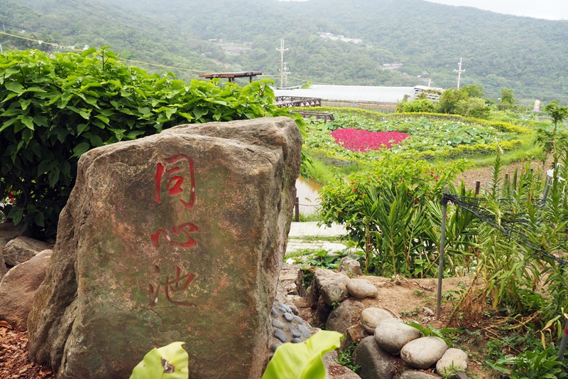 【內湖一日遊】白石湖吊橋,碧山巖風景,草莓園,737美食晚餐!完美約會行程(內湖景點推薦)