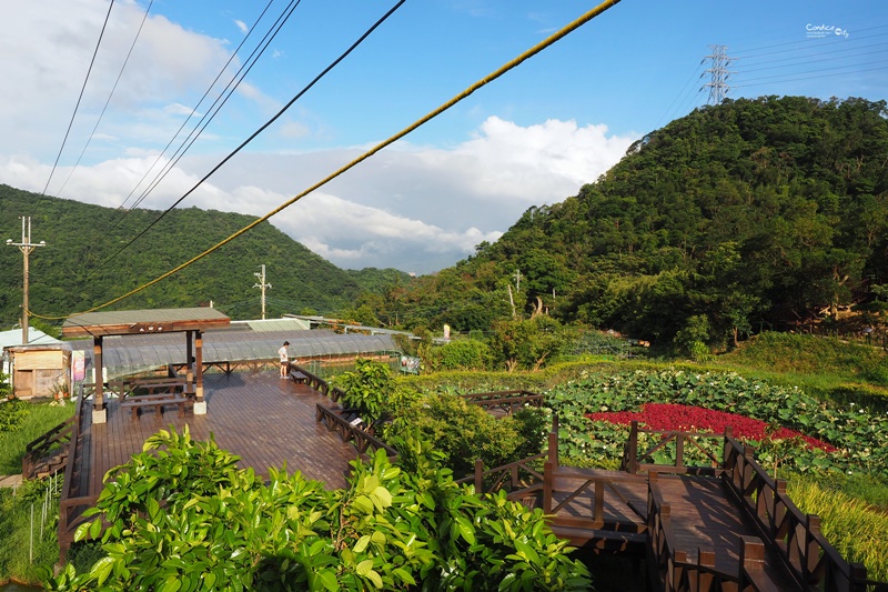 【內湖一日遊】白石湖吊橋,碧山巖風景,草莓園,737美食晚餐!完美約會行程(內湖景點推薦)