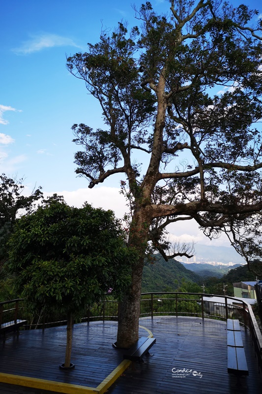 【內湖一日遊】白石湖吊橋,碧山巖風景,草莓園,737美食晚餐!完美約會行程(內湖景點推薦)