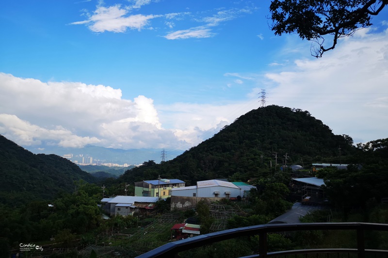 【內湖一日遊】白石湖吊橋,碧山巖風景,草莓園,737美食晚餐!完美約會行程(內湖景點推薦)