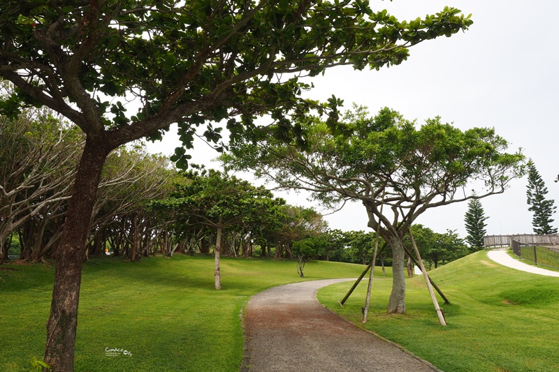 平和祈念公園｜沖繩溜滑梯公園推薦!孩子的天堂,還可以登高看風景!