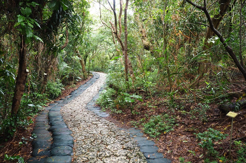 齋場禦嶽｜沖繩景點,神秘的看海最美崇高聖地!交通停車mapcode分享