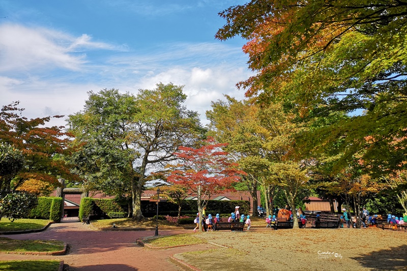 九州自然野生動物園｜九州必去景點!可以餵獅子,叢林巴士必搭!時間預約攻略!