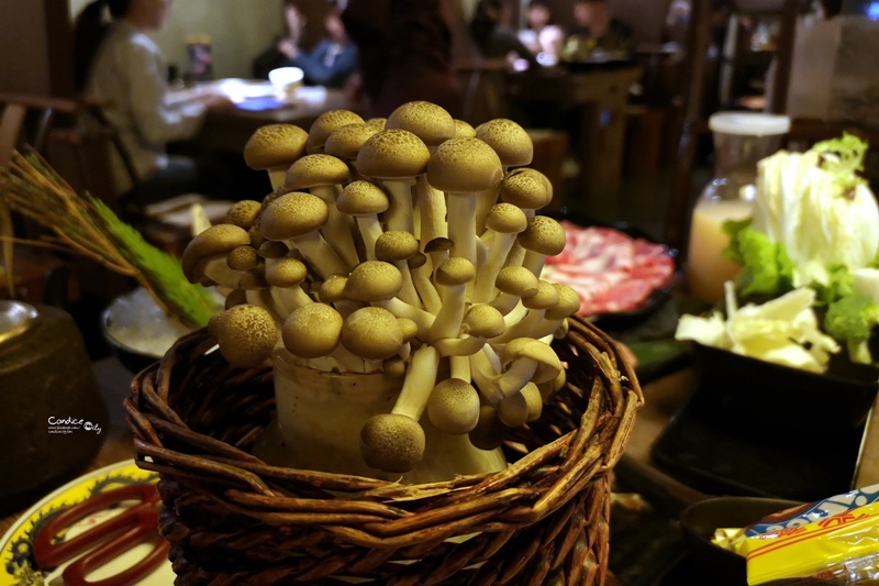 問鼎 麻辣鍋 養生鍋 忠孝店｜台北好吃麻辣鍋!可以扮皇帝,還可做美甲,按摩!