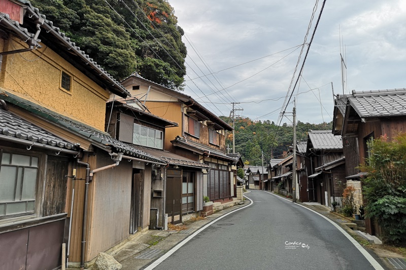 海之京都一日遊｜大阪難波出發天橋立、伊根舟屋、美山茅屋之里!一日團划算又輕鬆!