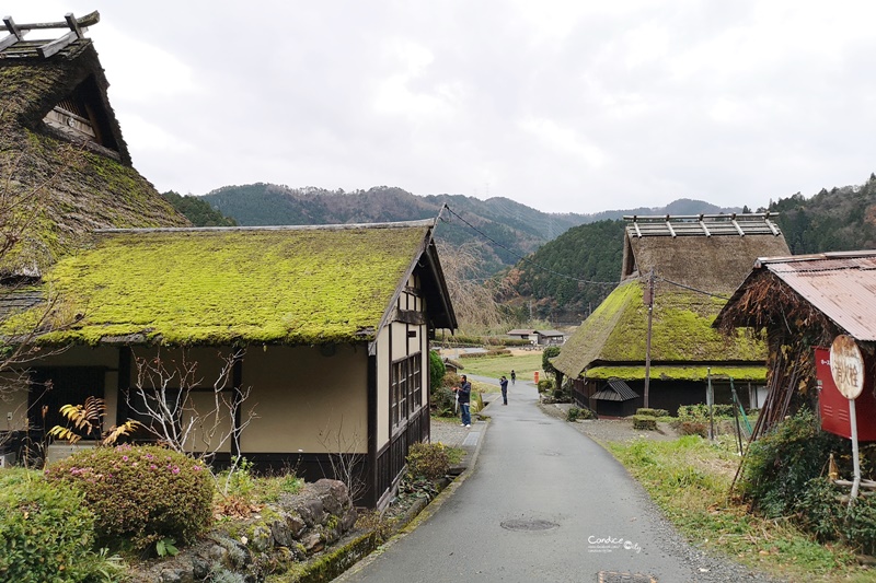 海之京都一日遊｜大阪難波出發天橋立、伊根舟屋、美山茅屋之里!一日團划算又輕鬆!