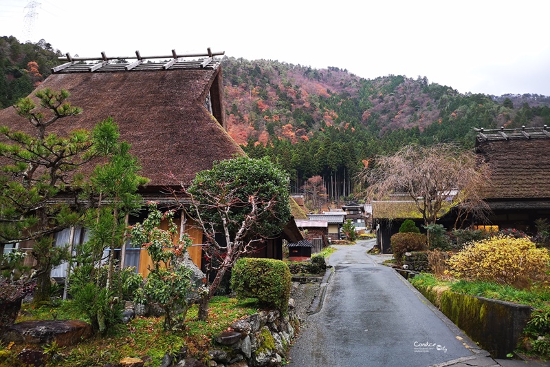 海之京都一日遊｜大阪難波出發天橋立、伊根舟屋、美山茅屋之里!一日團划算又輕鬆!