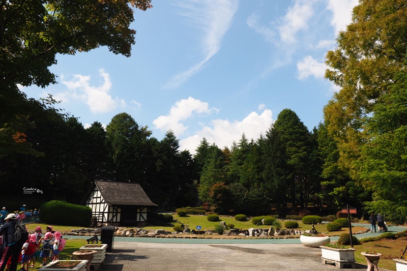 九州自然野生動物園｜九州必去景點!可以餵獅子,叢林巴士必搭!時間預約攻略!