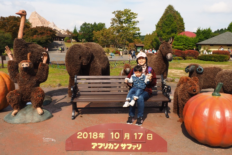 九州自然野生動物園｜九州必去景點!可以餵獅子,叢林巴士必搭!時間預約攻略!