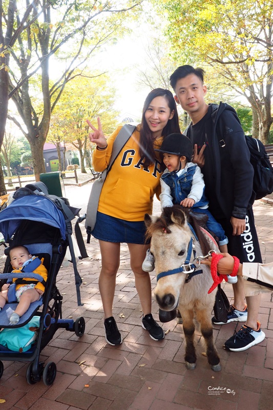 九州自然野生動物園｜九州必去景點!可以餵獅子,叢林巴士必搭!時間預約攻略!