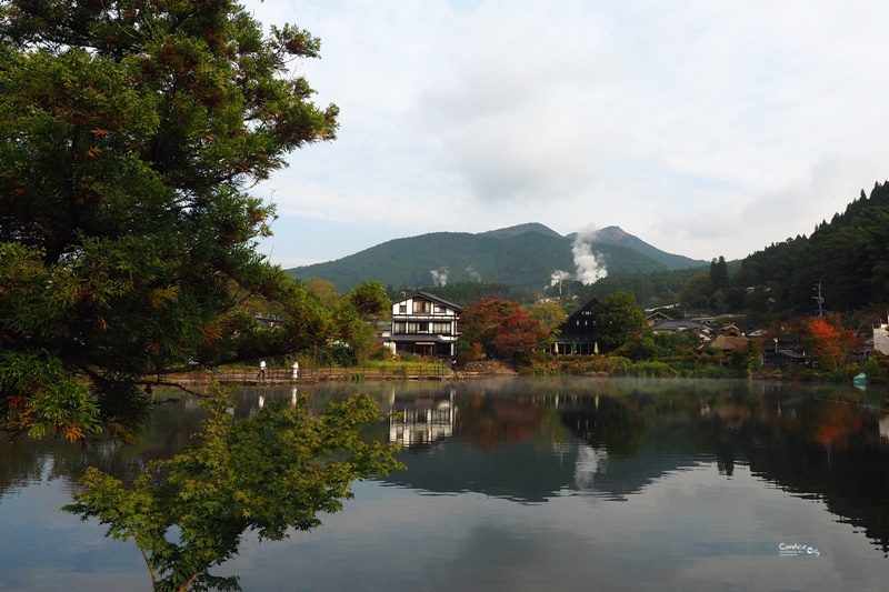 金鱗湖｜超美由布院景點必去清晨夢幻迷霧朝霧湖,必訪!