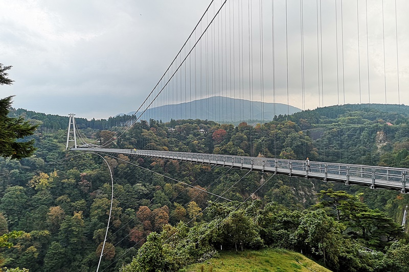 九重夢大吊橋｜要門票超推薦的大分景點,紅葉紛紛超漂亮!日本一吊橋