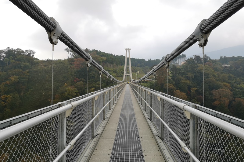 九重夢大吊橋｜要門票超推薦的大分景點,紅葉紛紛超漂亮!日本一吊橋