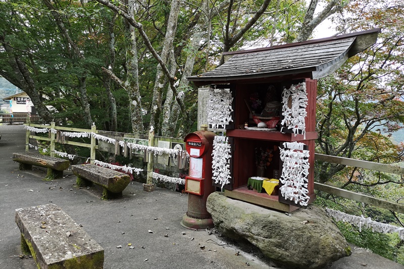 九重夢大吊橋｜要門票超推薦的大分景點,紅葉紛紛超漂亮!日本一吊橋