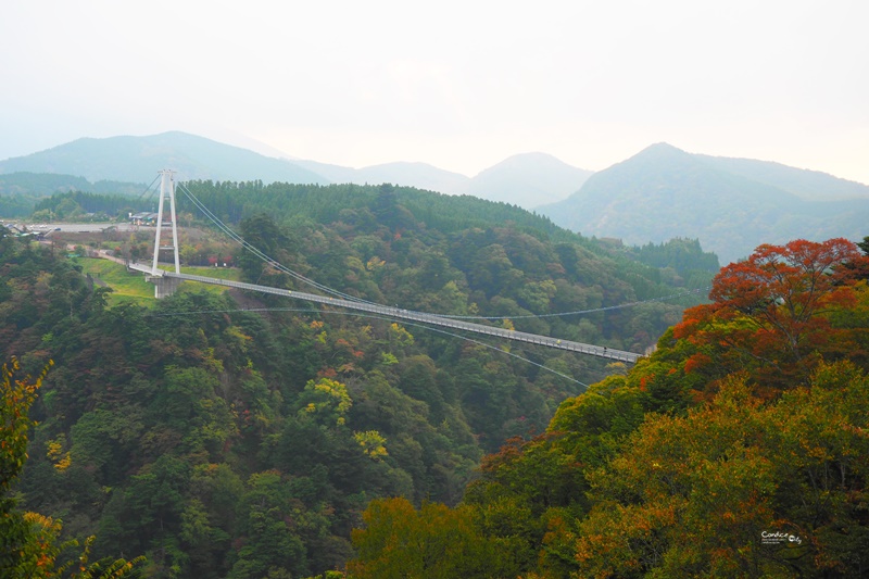 九重夢大吊橋｜要門票超推薦的大分景點,紅葉紛紛超漂亮!日本一吊橋