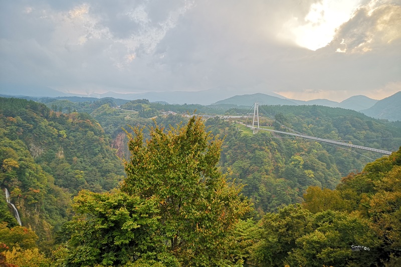 九重夢大吊橋｜要門票超推薦的大分景點,紅葉紛紛超漂亮!日本一吊橋