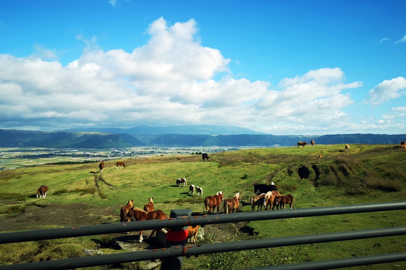 阿蘇火山｜自駕前往草千里,阿蘇火山.阿蘇山開放交通情報攻略(九州景點)