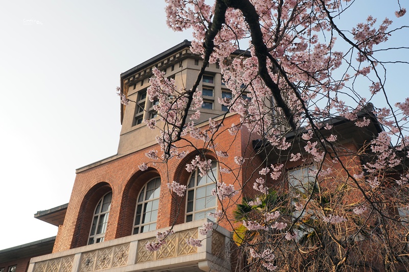 【京都賞櫻】賞櫻景點:同志社女子大學、鴨川,悠遊京都