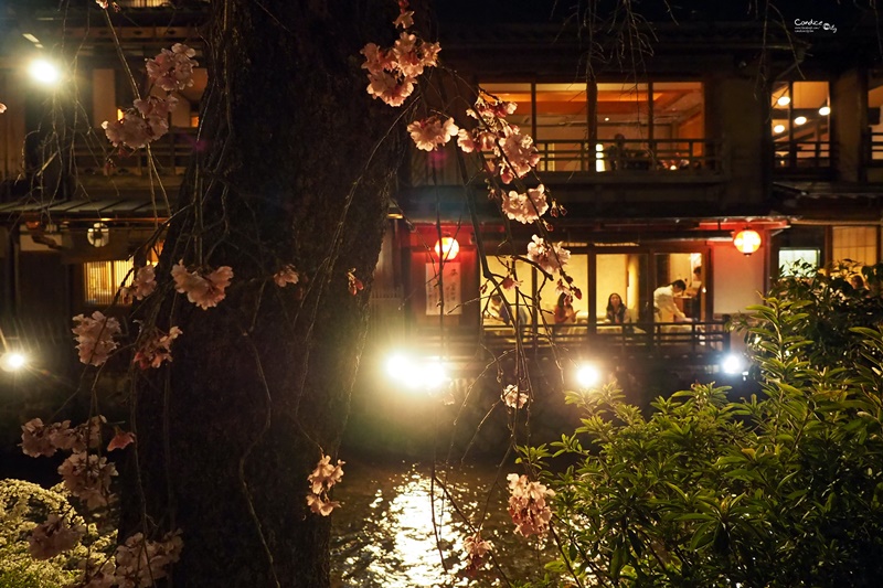 【京都賞櫻】賞櫻景點推薦:高瀨川,祇園夜櫻,京都漫步路線!