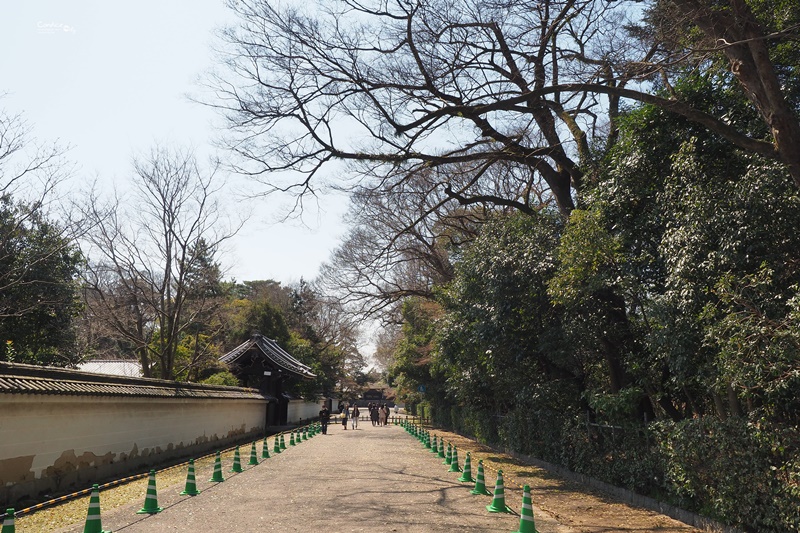 【京都賞櫻】賞櫻景點推薦:京都御苑,京都後花園,枝垂櫻美景!