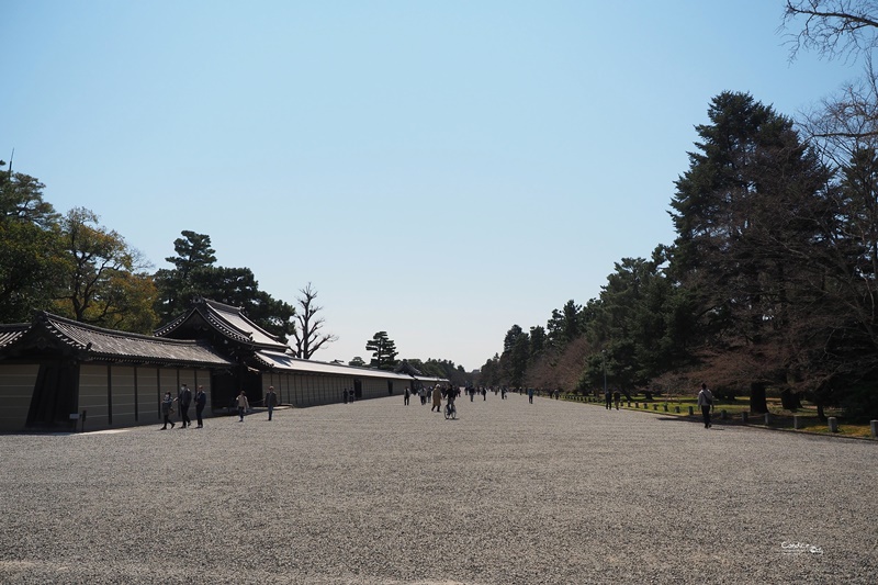 【京都賞櫻】賞櫻景點推薦:京都御苑,京都後花園,枝垂櫻美景!