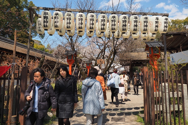 【京都賞櫻】賞櫻景點推薦:平野神社,賞櫻勝地,夜櫻很有名!