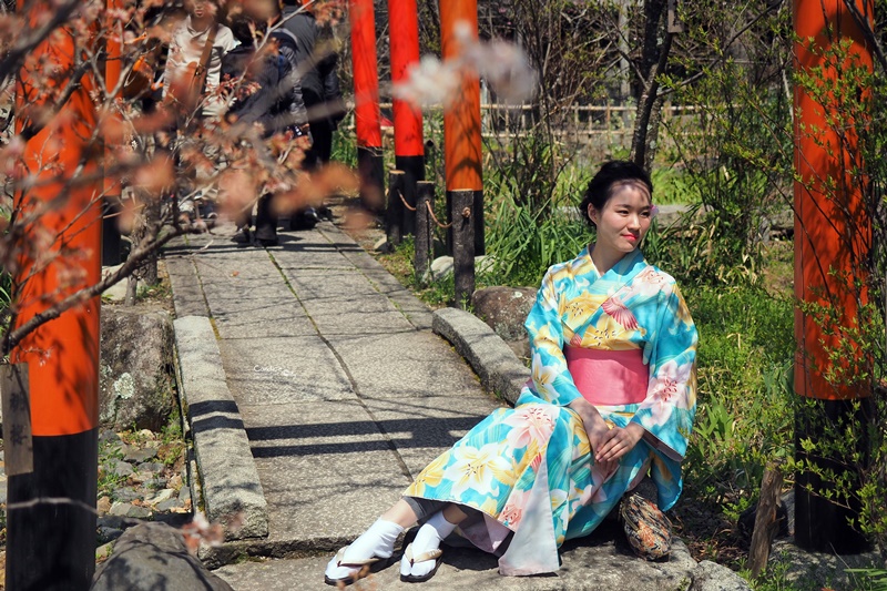 【京都賞櫻】賞櫻景點推薦:平野神社,賞櫻勝地,夜櫻很有名!