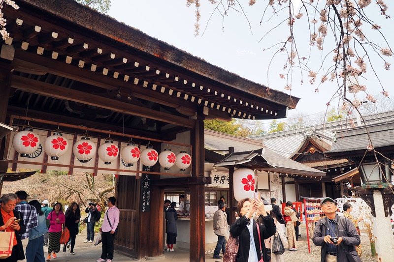 【京都賞櫻】賞櫻景點推薦:平野神社,賞櫻勝地,夜櫻很有名!