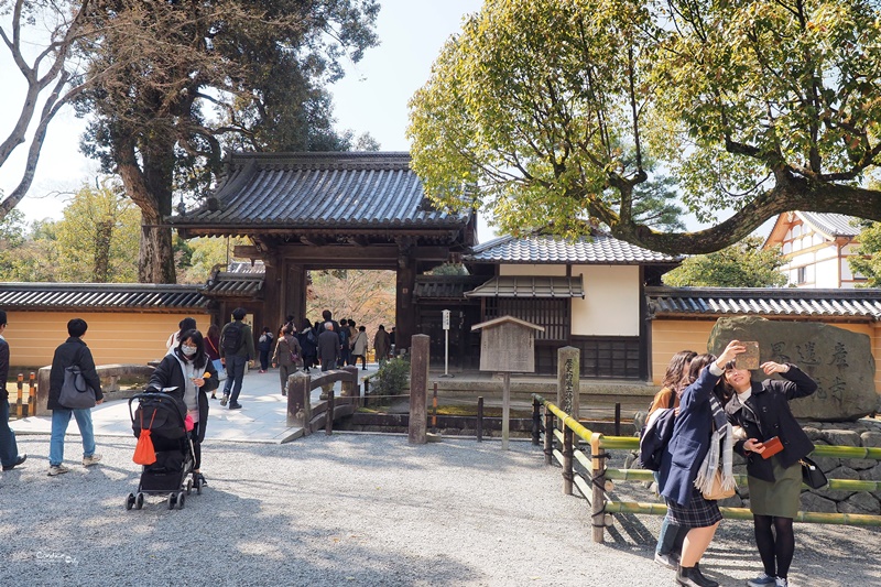 【京都景點】金閣寺/鹿苑寺,交通方便,京都必訪景點!