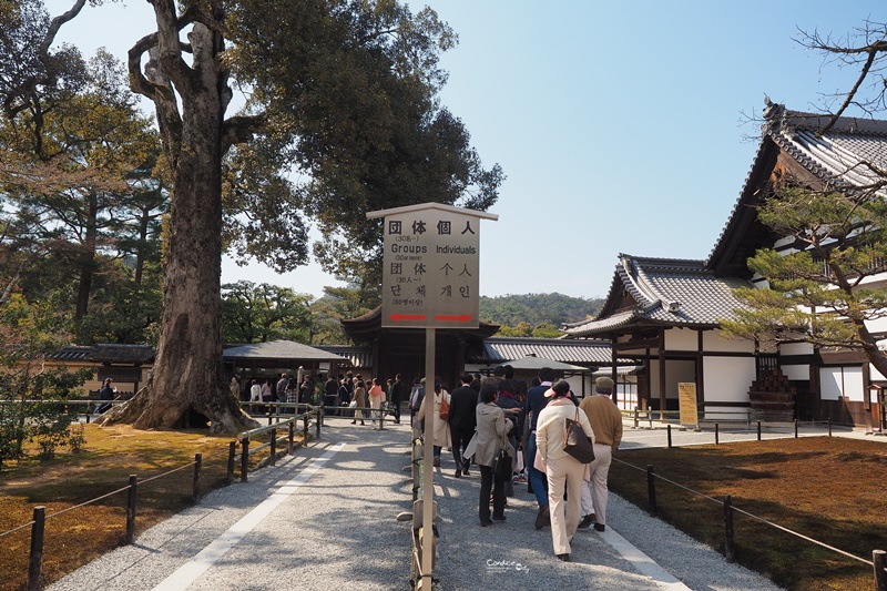 【京都景點】金閣寺/鹿苑寺,交通方便,京都必訪景點!