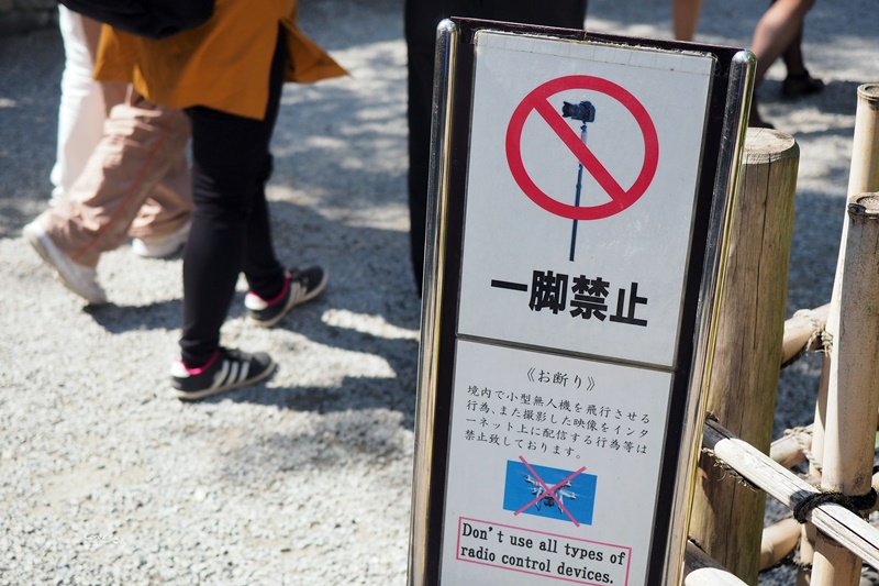 【京都景點】金閣寺/鹿苑寺,交通方便,京都必訪景點!