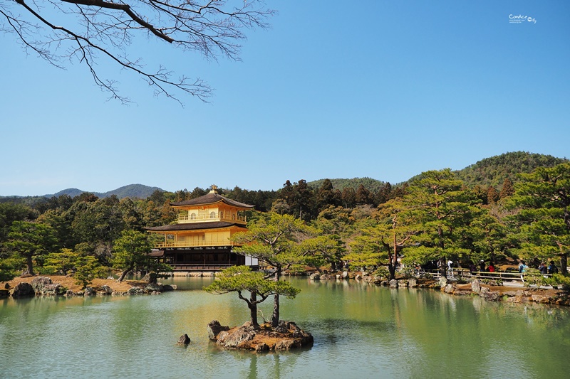 【京都景點】金閣寺/鹿苑寺,交通方便,京都必訪景點!