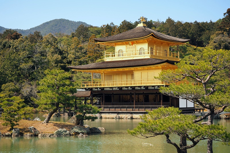 【京都景點】金閣寺/鹿苑寺,交通方便,京都必訪景點!