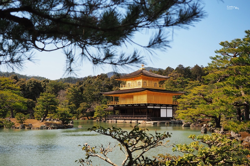 【京都景點】金閣寺/鹿苑寺,交通方便,京都必訪景點!